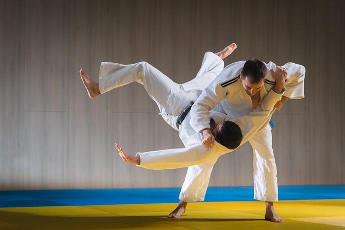ادبیات, ورزشی Martial Arts