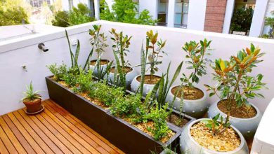 آموزشی Houseplants