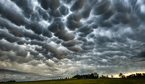 ادبیات, فرهنگی ادبیات | فرهنگی