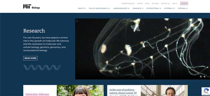 سایت دانشگاهMIT (ایالات متحده)