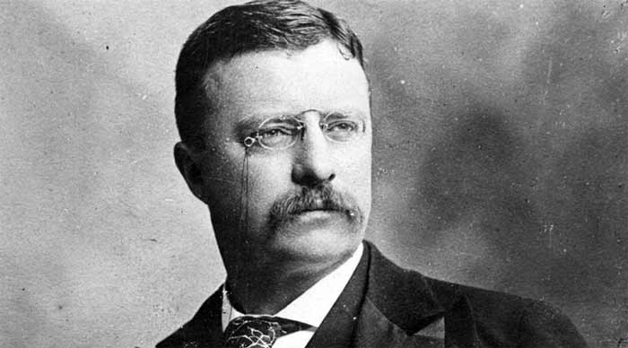 سیاستمداران, سیاستمداران تاریخ تئودور روزولت